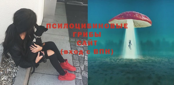 прущие грибы Аркадак