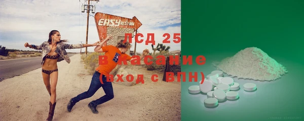 стаф Арсеньев