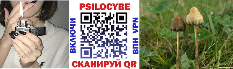 купить наркотики сайты  Хотьково  Галлюциногенные грибы Psilocybine cubensis 