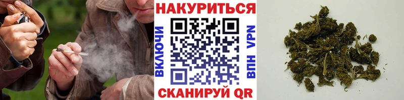 Каннабис сатива KRAKEN как войти Хотьково
